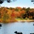 a body of water with trees around it