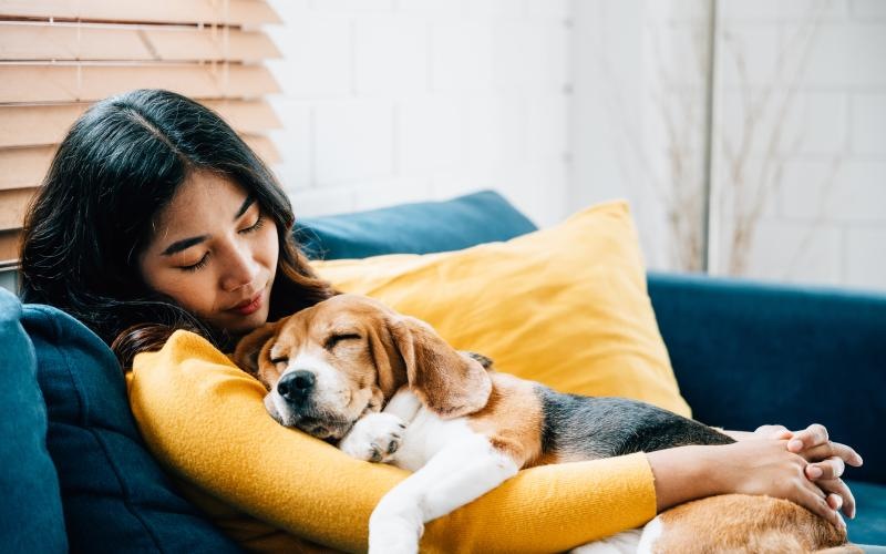 a woman lying on a couch with a dog